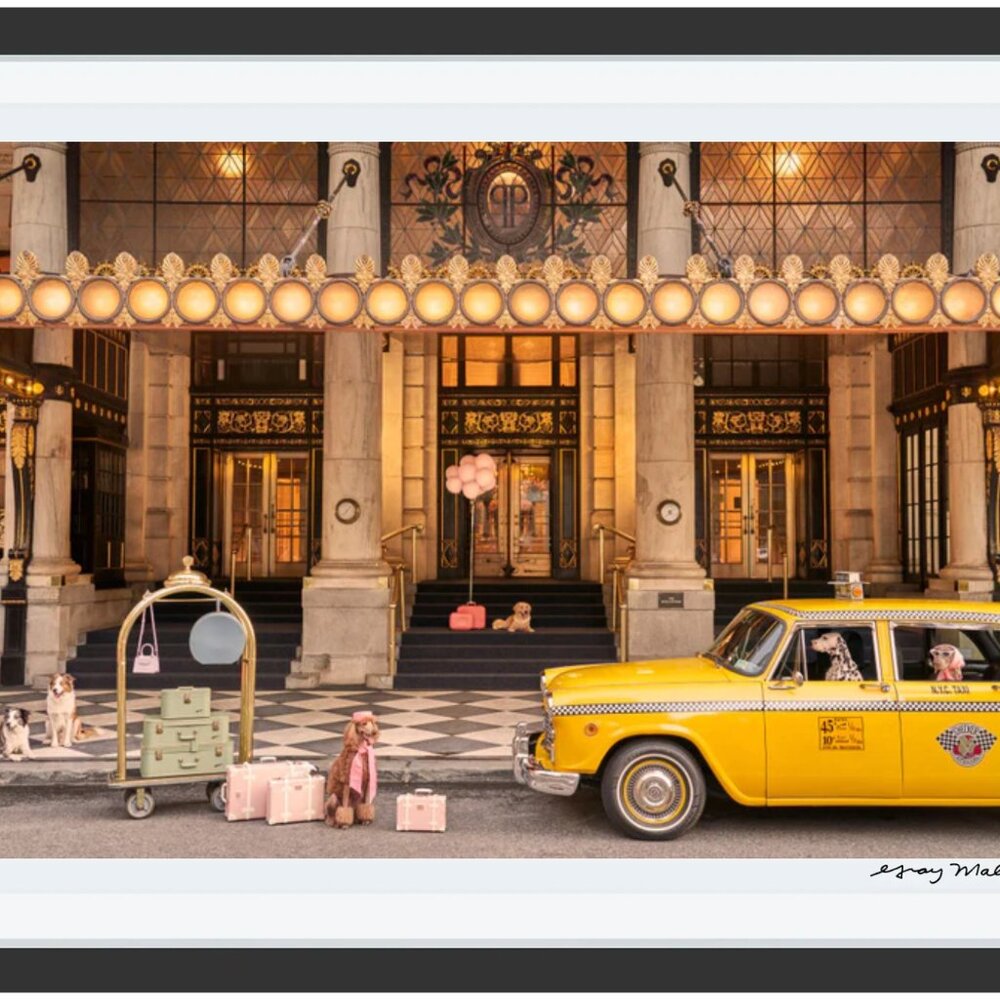 Grey Malin "Welcome to The Plaza Hotel" Print with Black Frame 15.5" x 21"